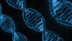 DNA Analyse halachische Antwort