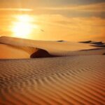 Die Wüstenwanderung… unsere Reise auf dem Weg in die künftige Welt - PARASCHA SCHLACH LECHA