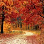 VON JOM KIPPUR ZU SUKKOTH: die Herbstmanöver