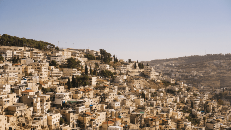 SCHEMITA 5782 IN ISRAEL – Teil 5 – Mischpatim