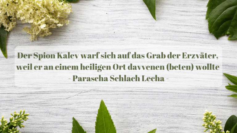 Der Spion Kalev warf sich auf das Grab der Erzväter, weil er an einem heiligen Ort davven...