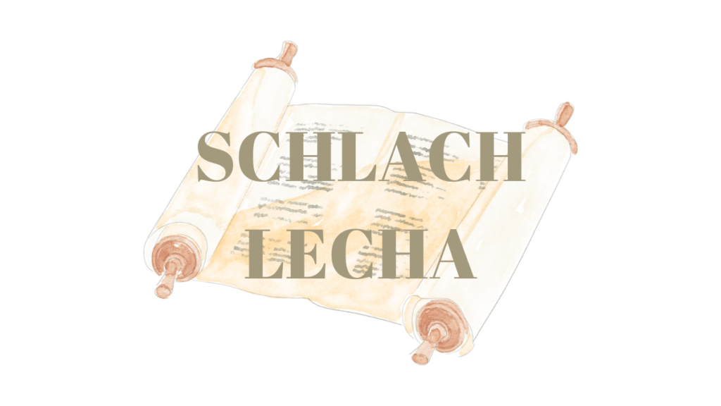 Schlach Lecha
