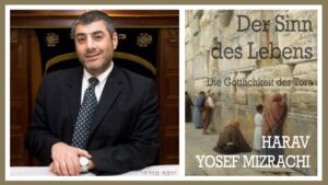 DER SINN DES LEBENS | Rabbiner Yosef Mizrachi