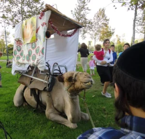 10 interessante Fakten über den Feiertag Sukkot